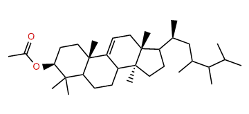 24,25-Dimethyl-9(11)-lanostenol acetate